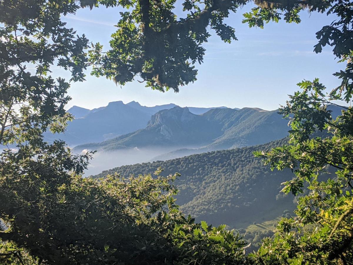 Apartamento Olmares Picos De Europa - 4 Personas Lomena Luaran gambar